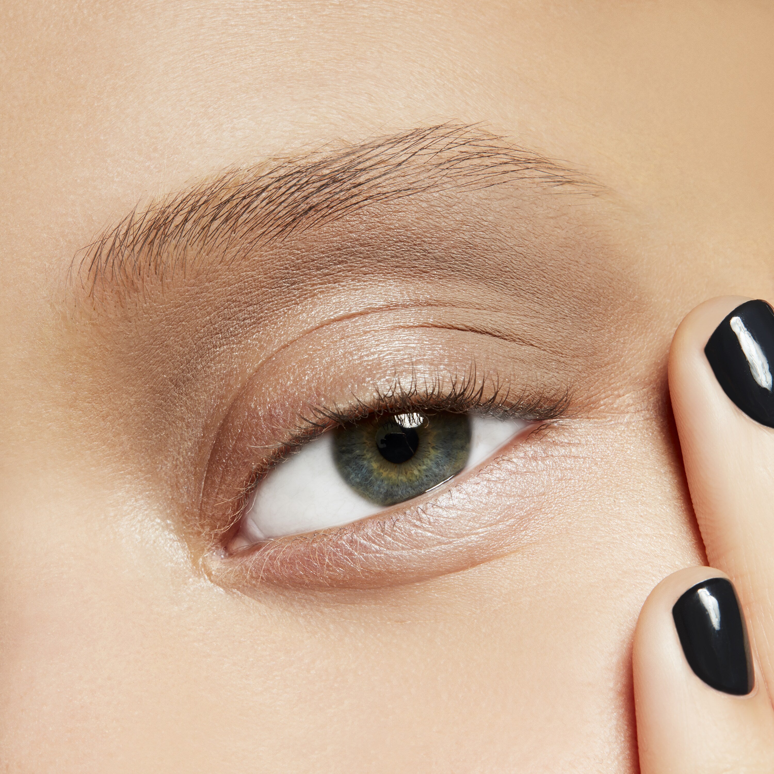 Eye Shadow - Everyday Essential