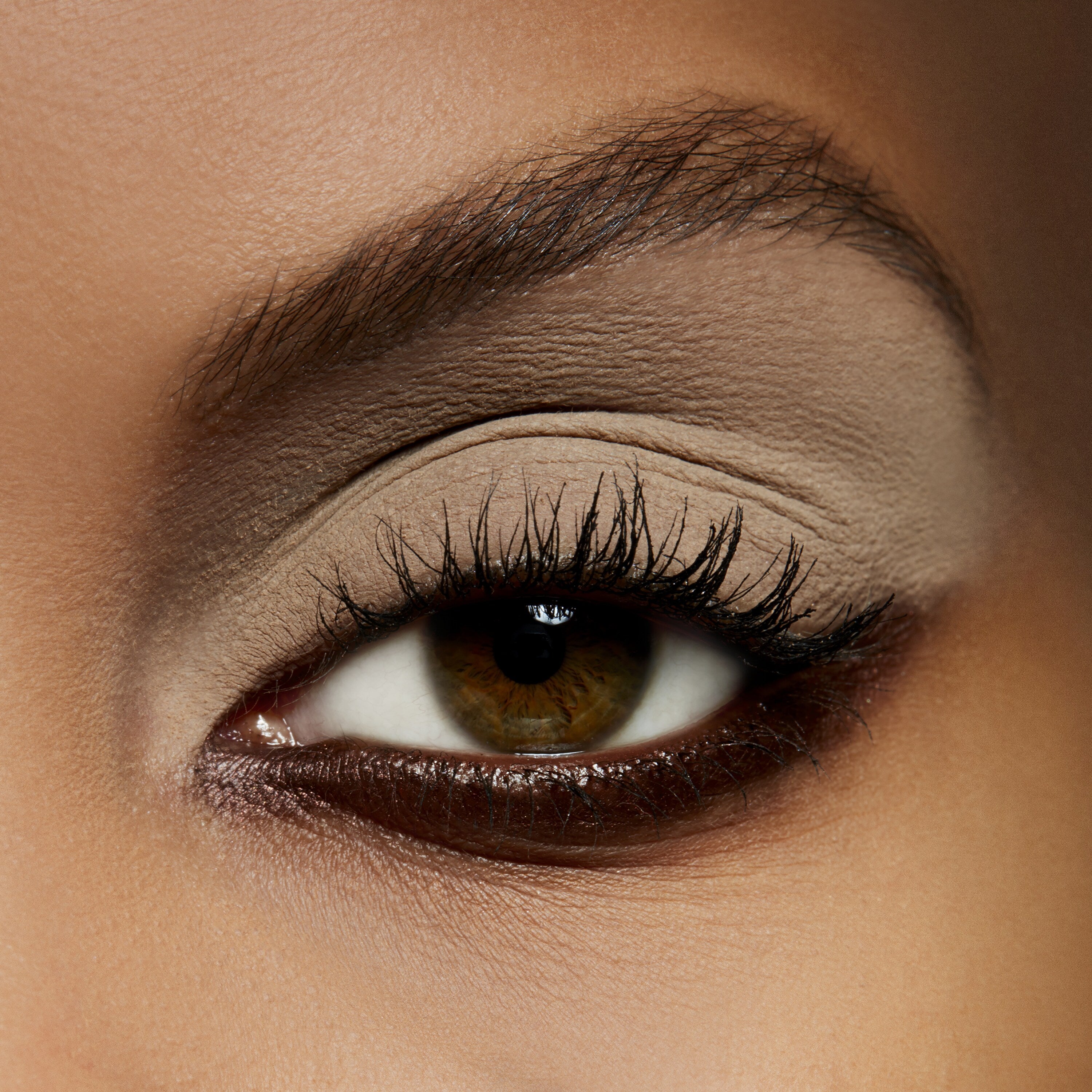 Eye Shadow - Everyday Essential