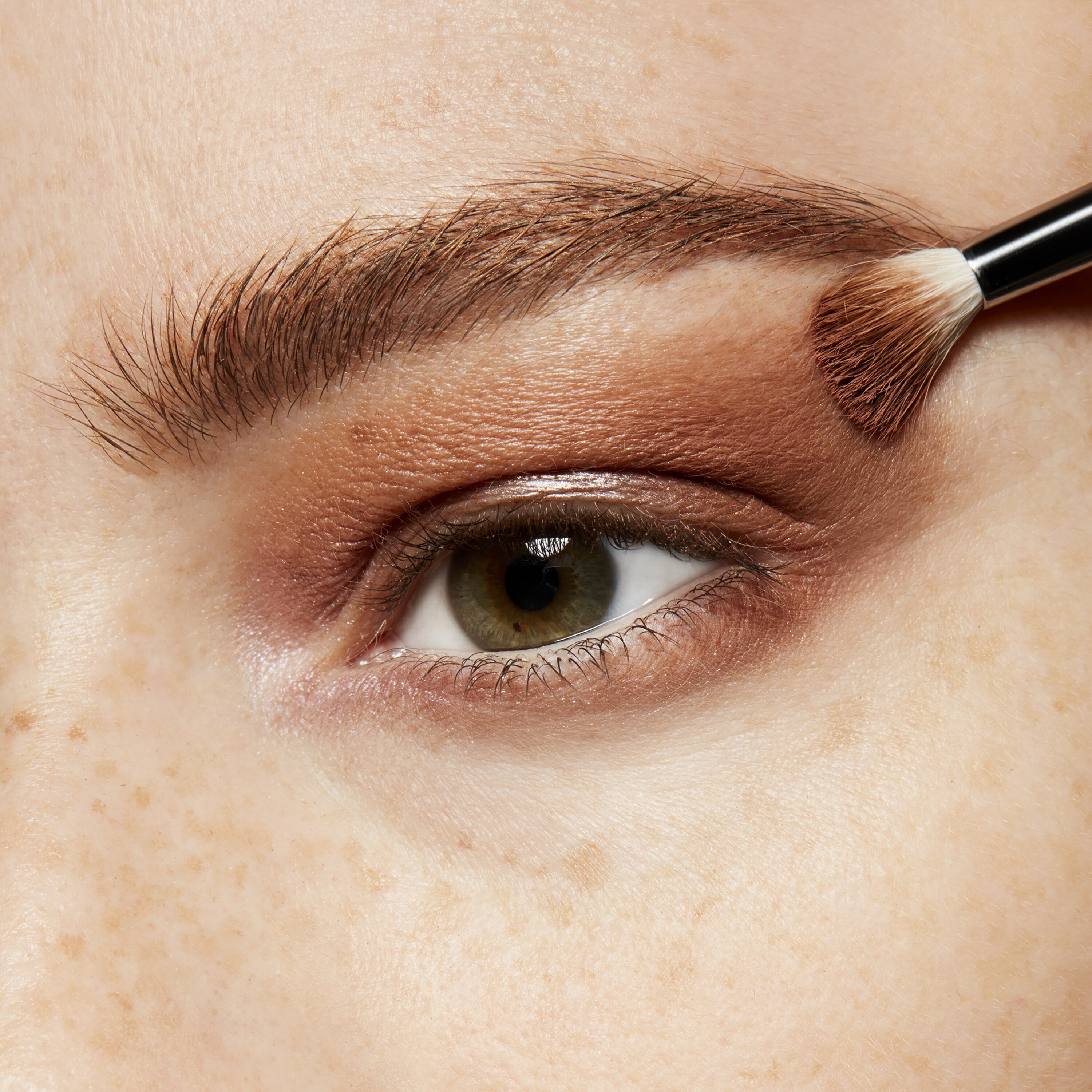 Eye Shadow (Pro Palette Refill Pan) - Everyday Essential