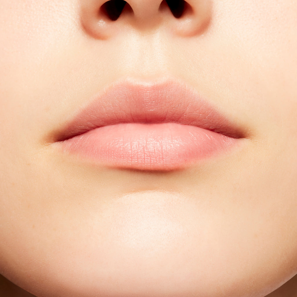 Prep + Prime Lip | Lip Primer Base - Everyday Beauty Essential