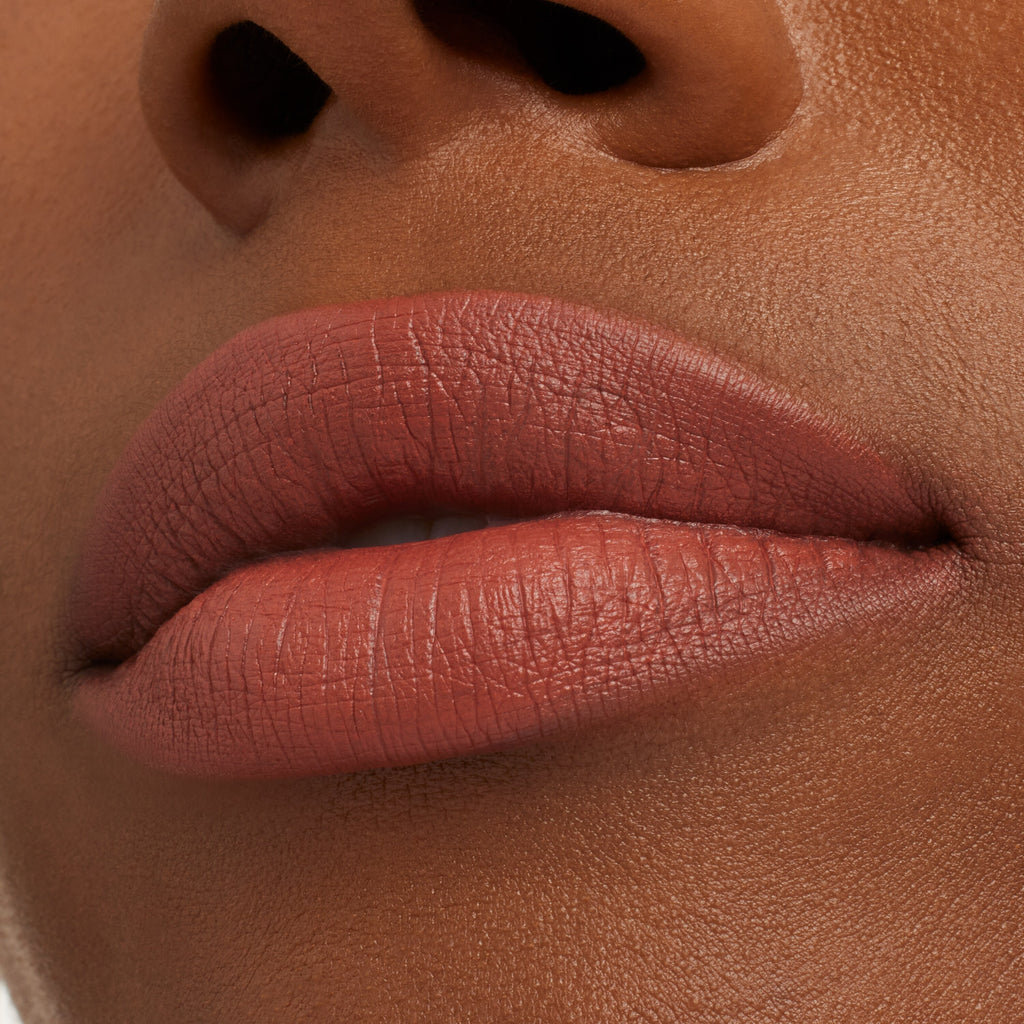 Matte Lipstick / M·A·C 40 Disney Favourites in Princess Incognito - Everyday Beauty Essential