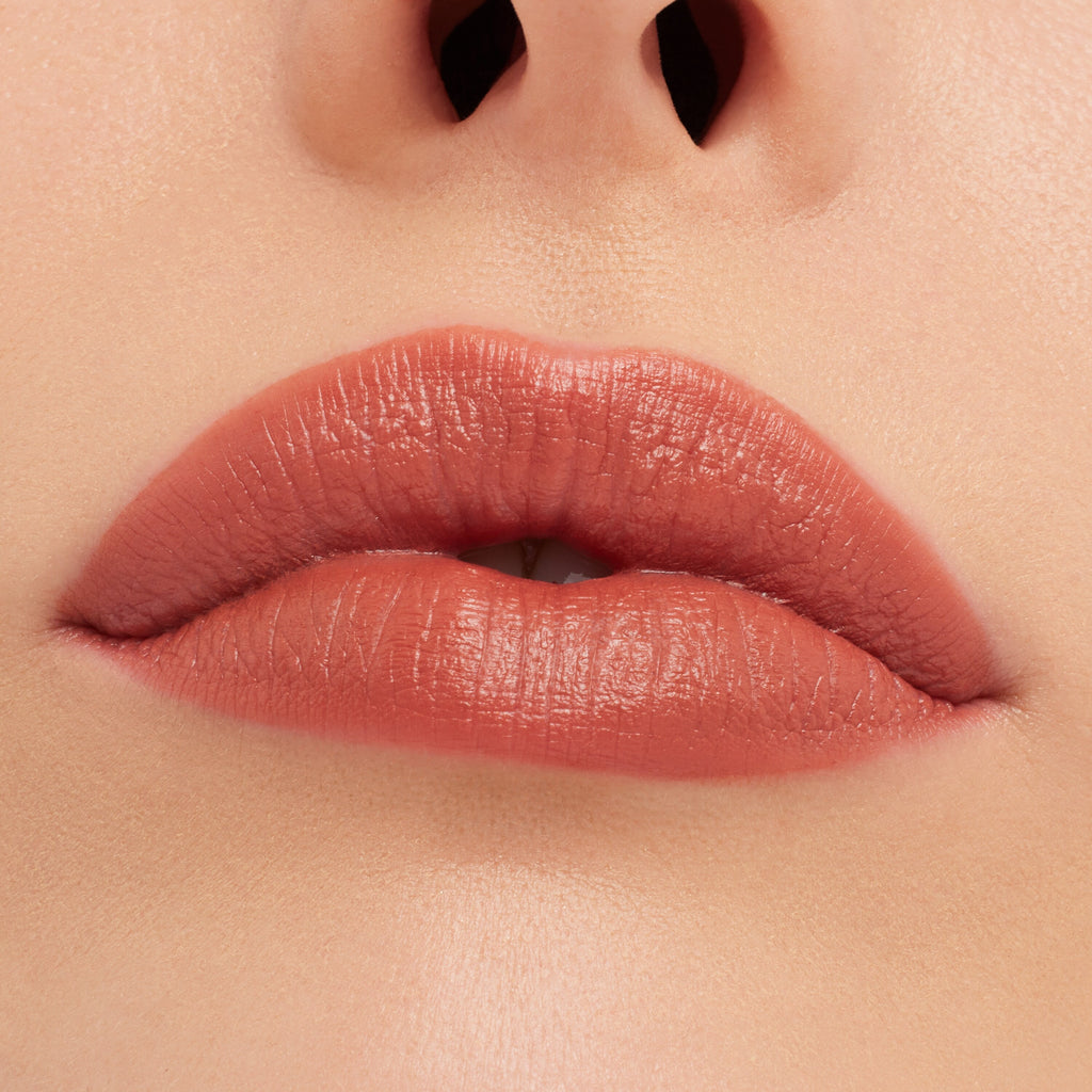 Matte Lipstick / M·A·C 40 Disney Favourites in Princess Incognito - Everyday Beauty Essential