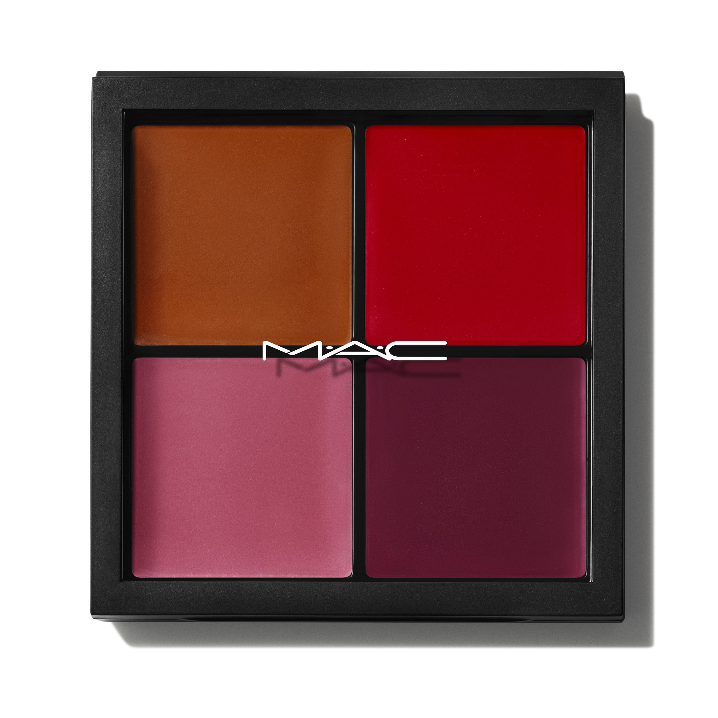 Pro Face Palette: Blush - Everyday Beauty Essential