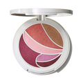 Metamorphosis Face & Eye Palette - Everyday Essential