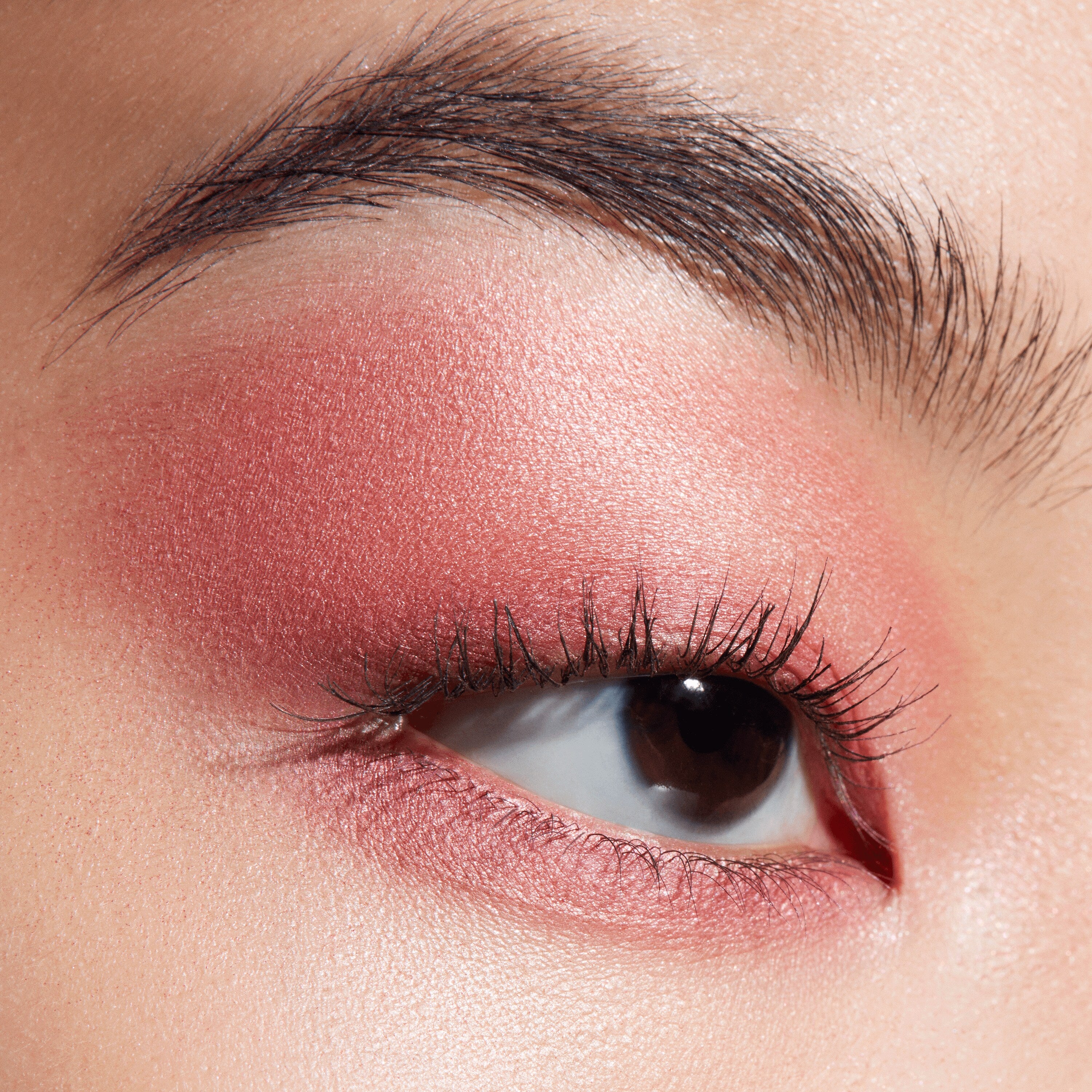 Connect In Colour Eye Shadow Palette: Rose Lens - Everyday Essential