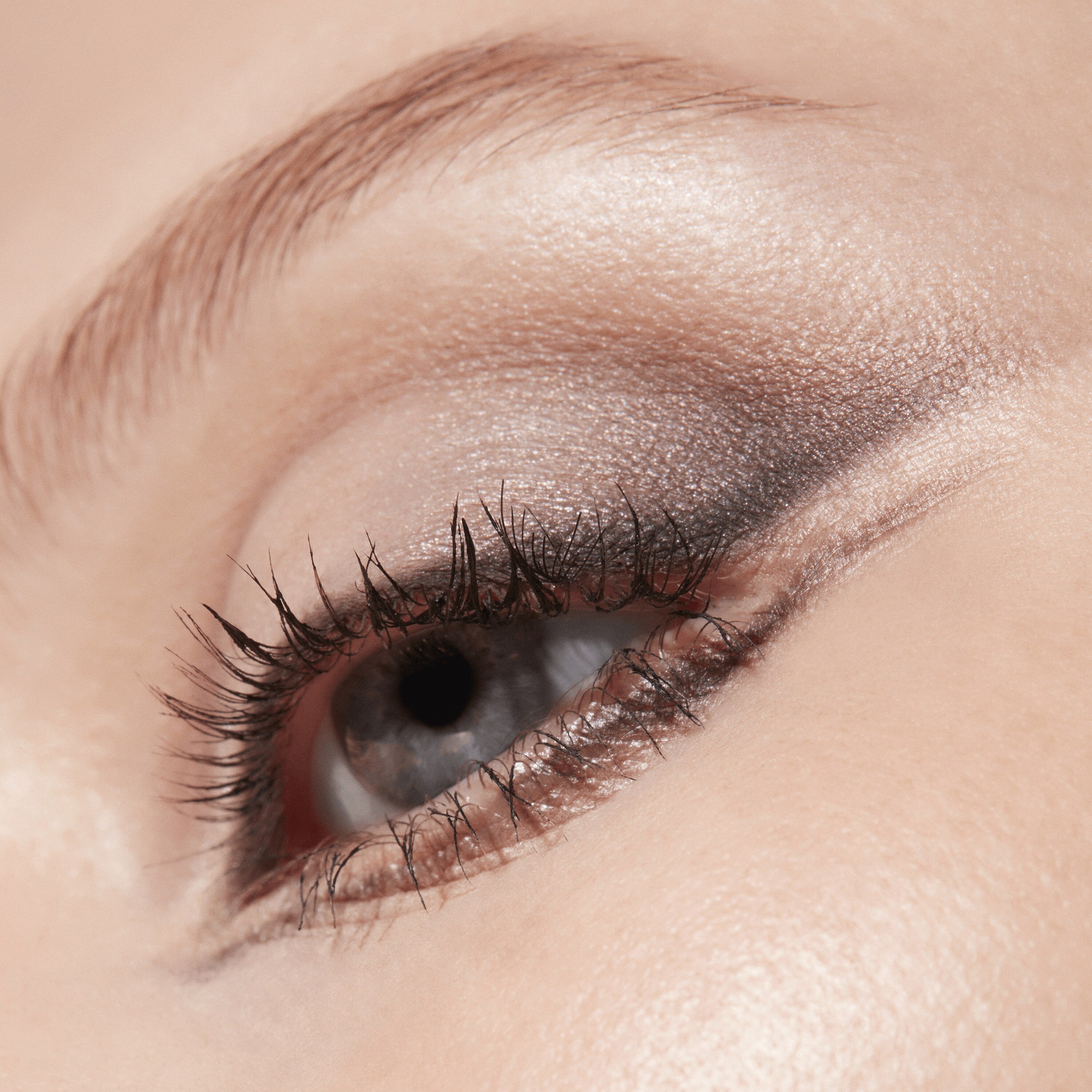 Connect In Colour Eye Shadow Palette: Encrypted Kryptonite - Everyday Essential