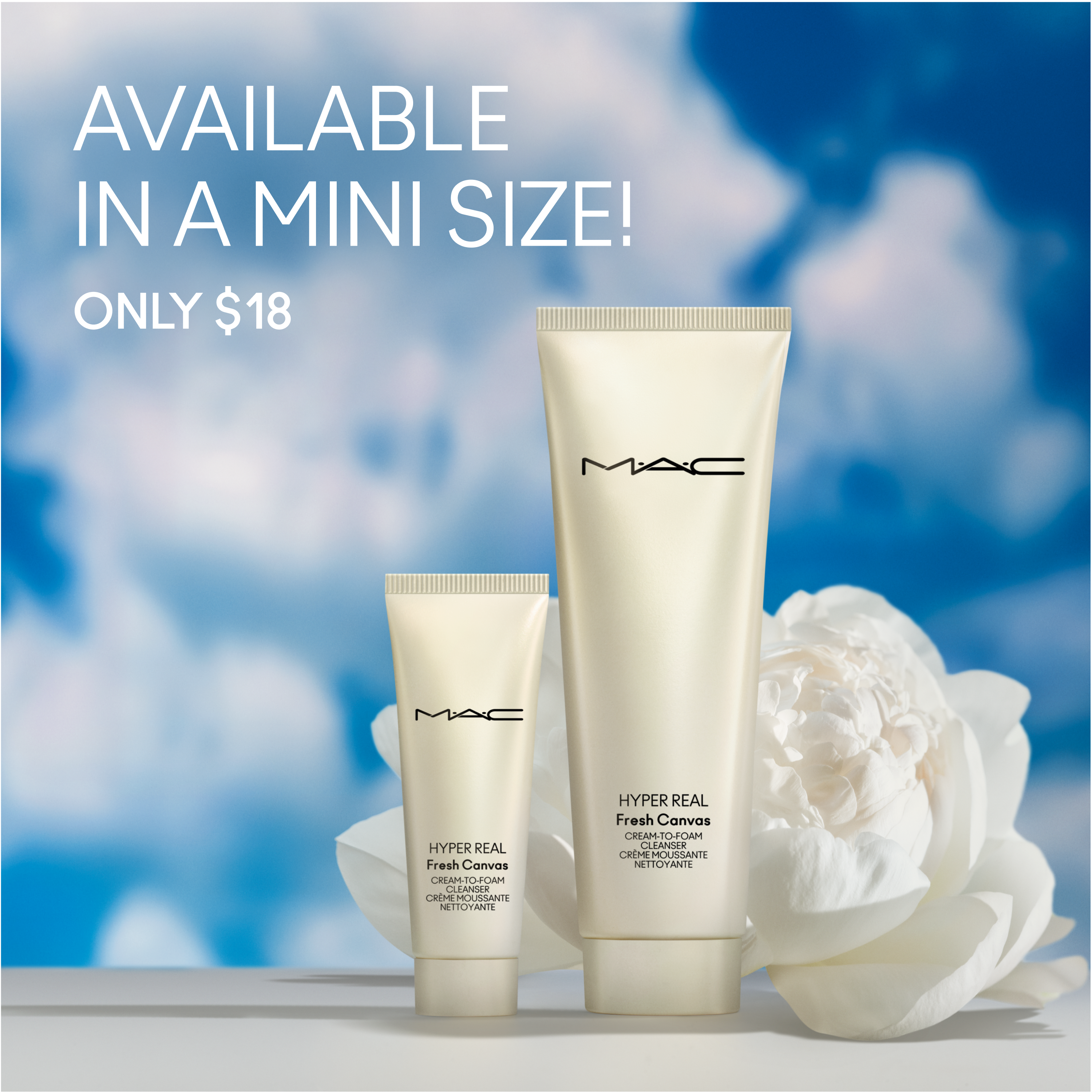Hyper Real Fresh Canvas Cream-To-Foam Cleanser - Everyday Beauty Essential
